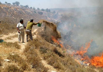 نابلس: مستوطنون يضرمون النار بأراضي عصيرة القبلية