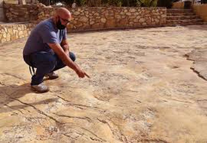 الباحث عويس: اكتشاف اثار الديناصورات العاشبة في الخليل