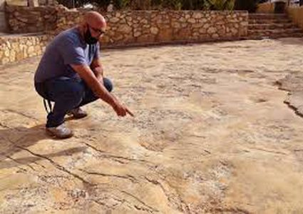 الباحث عويس: اكتشاف اثار الديناصورات العاشبة في الخليل