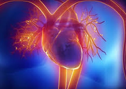 تركية تعود للحياة بعد توقف قلبها 127 مرة في يوم واحد !