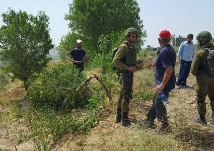 مستوطنون يدمرون أشتال زيتون في عصيرة الشمالية بنابلس