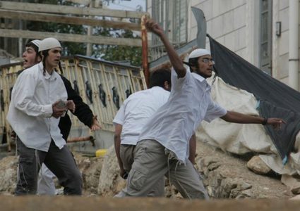 مستوطنون يعتدون على ممتلكات الموطنين جنوب الخليل