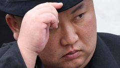 كيم جونغ أون يصادر الكلاب الأليفة لاستخدامها في المطاعم