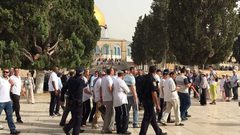 نحو 98 مستوطنا يقتحمون الأقصى وينفذون جولات استفزازية في باحاته