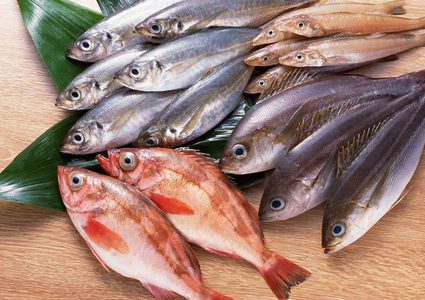 ما تفسير حلم السمك النيء؟