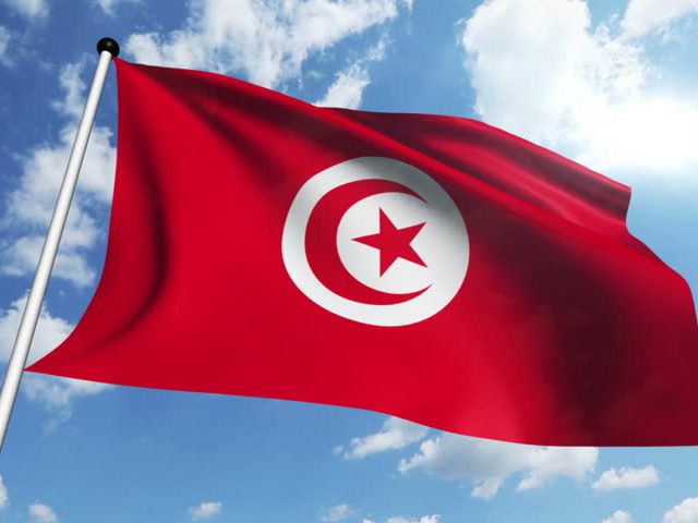 تونس: تشكيل حكومة جديدة مكونة من28 وزيرا
