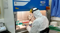اللقية تسجل 72 إصابة بفيروس كورونا