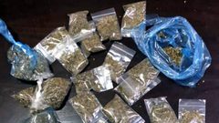 ضبط كيلو ونصف من مادة القنب المخدرة في طولكرم