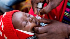 إفريقيا تعلن خلوها من فيروس شلل الأطفال البري