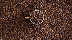 تعرفوا على محطات رحلة الكافيين في الجسم