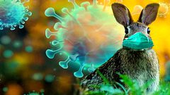 أكسفورد: الحيوانات مصدر "الأوبئة المرعبة" التي ستظهر بالمستقبل