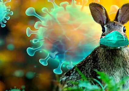 أكسفورد: الحيوانات مصدر "الأوبئة المرعبة" التي ستظهر بالمستقبل