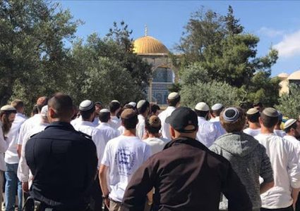 مستوطنون يقتحمون "الأقصى" بحماية قوات الاحتلال