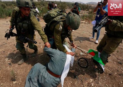 قوات الاحتلال تعتدي على مسنا خلال مظاهرة ضد الاستيطان جنوب طولكرم