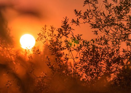 الطقس: استمرار تأثير الموجة شديدة الحرارة