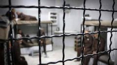 أبو بكر: تشكيل لجنة لاستيعاب الأسرى المحررين في الهيئات الحكومية
