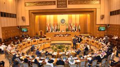 شعث للنجاح: لدينا ورقة قوة لاستخدامها في اجتماع الجامعة العربية
