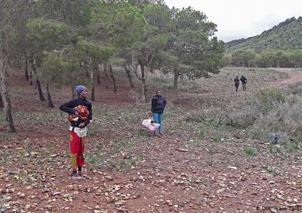 الهجرة الدولية:إنقاذ أكثر من 80 مهاجرا إفريقيا في الصحراء الكبرى