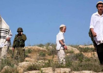 مستوطنون يزرعون مزيدا من الأشجار في الفارسية بالأغوار الشمالية