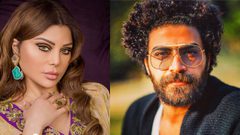 محامي هيفا وهبي يكشف عن تورط ممثل شهير بقضيتها