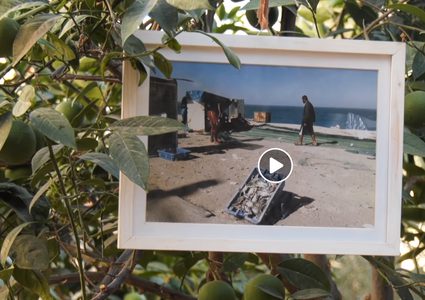 حاكورة "دارنا" .... فكرة شبابية لإعادة إحياء التراث