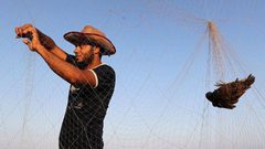 موسم صيد طائر السمان في قطاع غزة