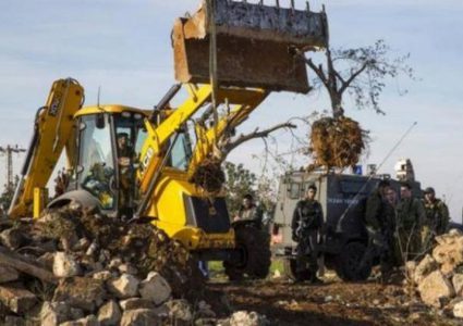 مستوطنون يجرفون أراضي غرب سلفيت