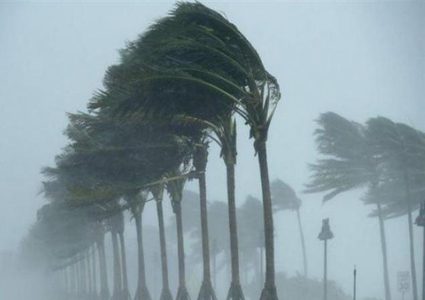 فنلندا: إعصار يقطع الكهرباء عن 60 ألف منزل