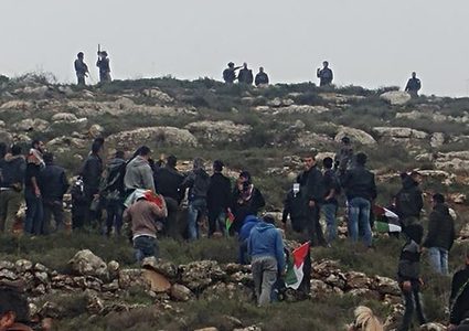 الاحتلال يقمع فعالية لزراعة الاشجار جنوب نابلس