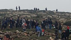 الاحتلال يقمع فعالية لزراعة الاشجار جنوب نابلس