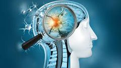 العلماء يحذرون من الآثار المدمرة لفيروس كورونا على الدماغ