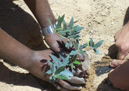 قوات الاحتلال تمنع متظاهرين فلسطينيين من زراعة أشجار الزيتون