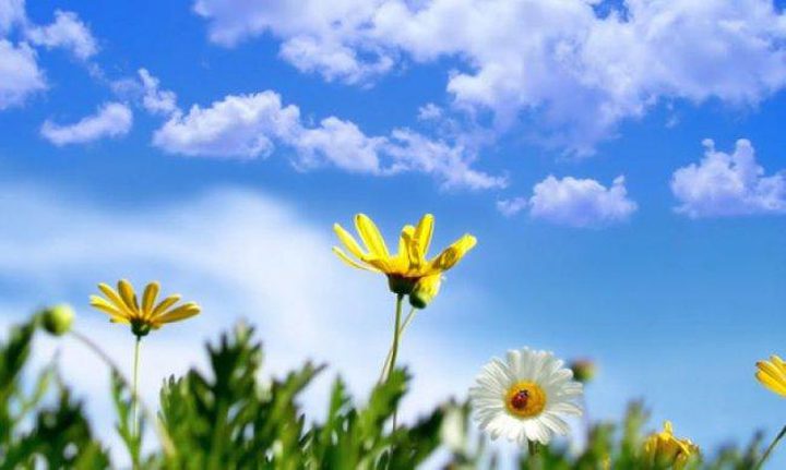 طقس: انخفاض طفيف على درجات الحرارة مع بقائها أعلى من معدلها العام