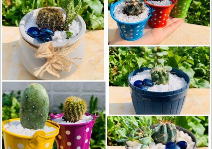 آية حمودي تحول حديقة منزلها لمشروع زراعي لاستكمال تعليمها الجامعي