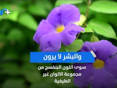هل تعرف أن البشر مصابون بعمى الألوان مقارنة بالطيور؟