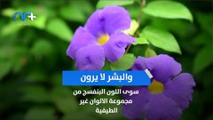 هل تعرف أن البشر مصابون بعمى الألوان مقارنة بالطيور؟