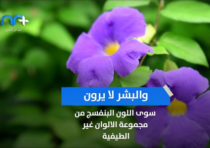 هل تعرف أن البشر مصابون بعمى الألوان مقارنة بالطيور؟