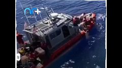 سمكة قرش تهاجم سباحين