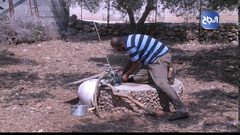 استغلال الحدائق المنزلية في الزراعة وتحقيق الإكتفاء الذاتي