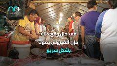 هل تنقل الأغذية المستوردة من الصين فيروس الكورونا؟