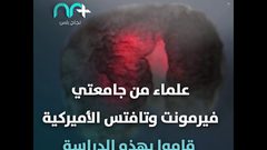 مفاجأة مذهلة .. أول روبوت حي من أجنة الضفادع