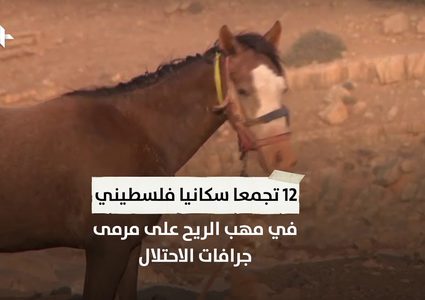 لماذا تعتبر الأغوار الهدف الأول للاحتلال في خطة ضم الضفة الغربية؟