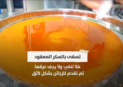 الكنافة النابلسية حكاية مذاق فريد قدمته فلسطين للعالم