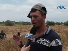 حصاد القمح .. فرصة عمل موسمية لتحدي البطالة في غزة
