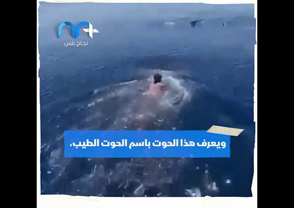 سعودي يركب على ظهر حوت البهلوان