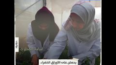 فتيات من غزة يحولن ورق الاستيفيا الى سكر طبي لمرضى السكر