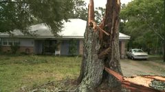 الإعصار سالي يضرب جنوب شرق الولايات المتحدة