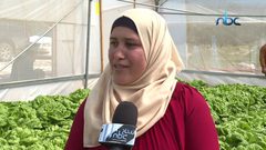 ابتسام حريبات من الخليل تنجحُ في تنفيذ مشروع الزراعة العضوية