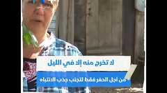 "قلب الأم" يقودها إلى السجن