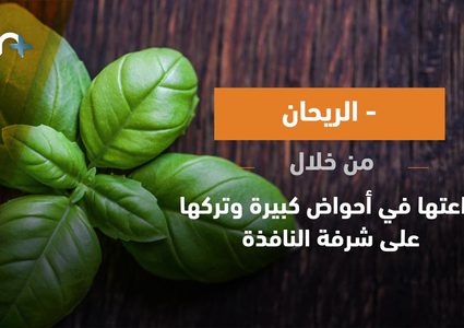 طرق التخلص من الناموس  .. تعرف عليها